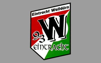 03.07.2009: Spielabbruch in Hornbach. Eintracht gewinnt 2:0!